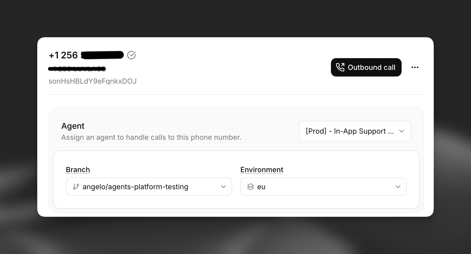 Phone number environment and branch selectors
